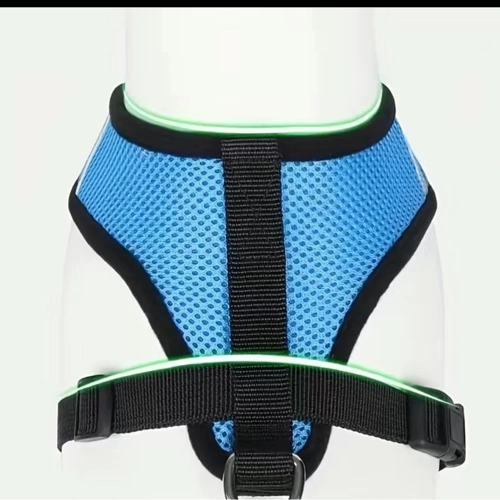 Harness & Leash Set
